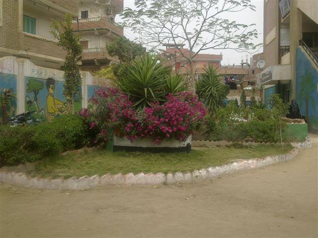 مدرستى